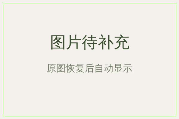 公告封面